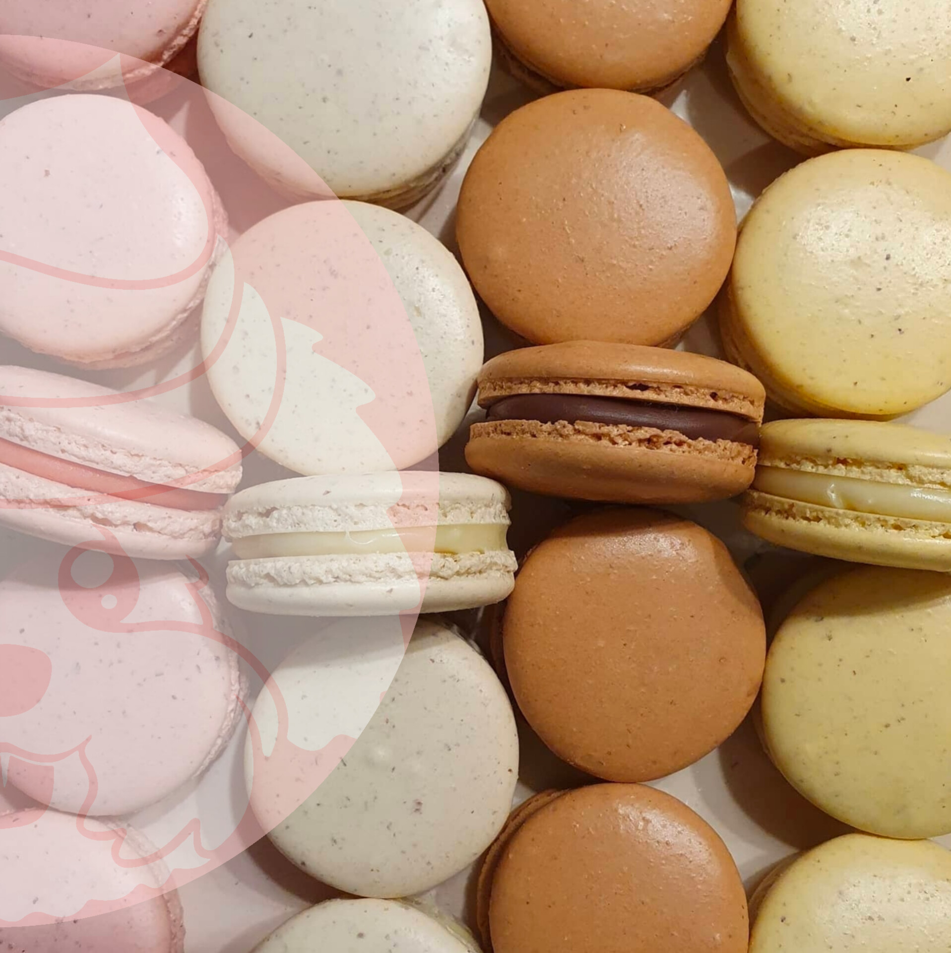Macarons