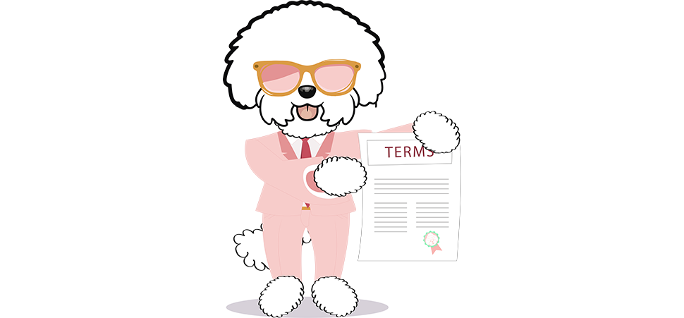 Términos y condiciones